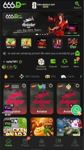 666D Game