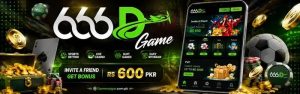 666D Game